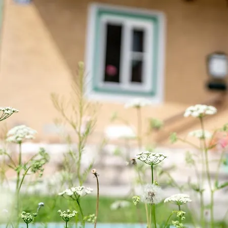 Family Hideaway Mit Baby- Und Kleinkindausstattung Apartment Hallstatt