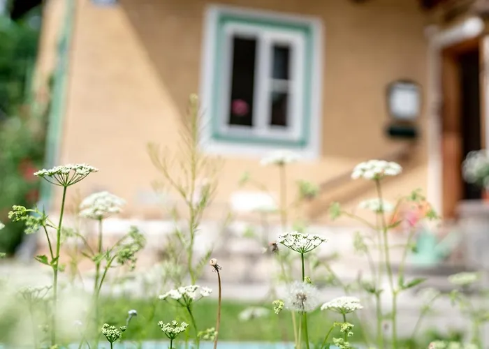 Family Hideaway Mit Baby- Und Kleinkindausstattung Apartament Hallstatt