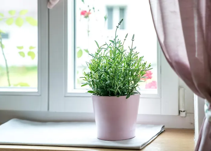 Apartment Family Hideaway Mit Baby- Und Kleinkindausstattung Hallstatt