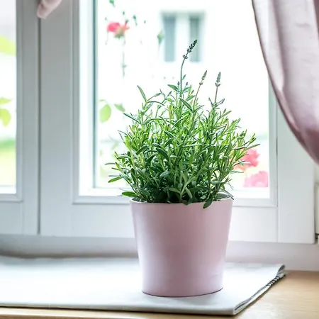 Διαμέρισμα Family Hideaway Mit Baby- Und Kleinkindausstattung Χάλστατ